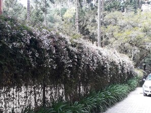 Property entrance - Charmoso Pertinho do Centro Capivari (Campos do Jordão)
