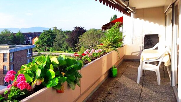 Leilighet – standard, 2 soverom (A) | Terrasse/patio