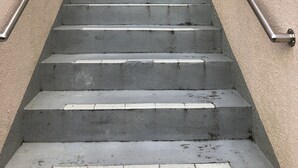 Betontrappetrin med metalgelændere, der fører op til en indvendig døråbning.