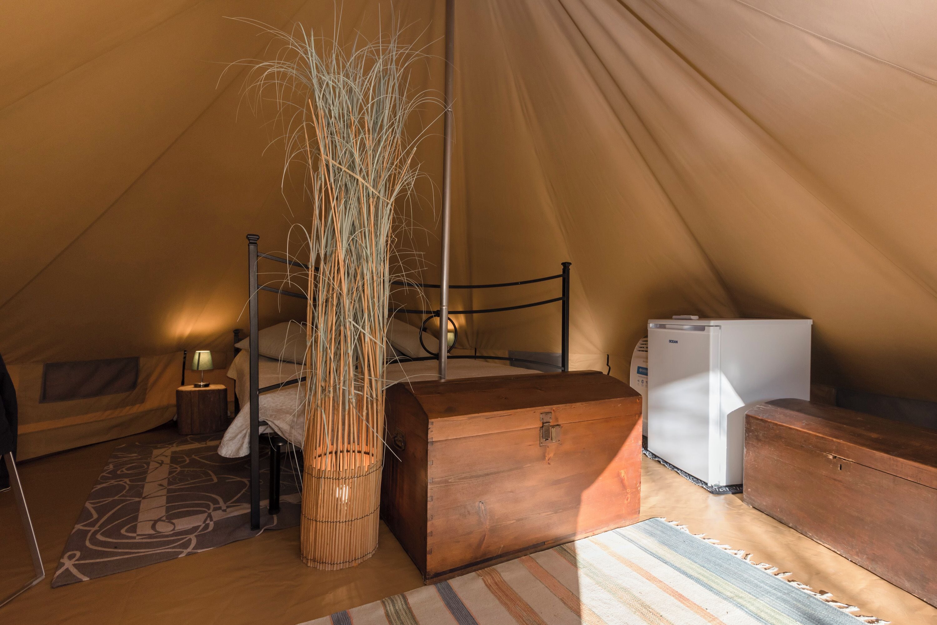 Un hébergement sous tente comprenant un lit, une petite table avec une lampe, un réfrigérateur, une malle en bois et une grande plante.