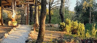 세라이올라 알타