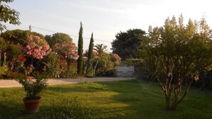 Photo non classée, 4 sur 22, bouton