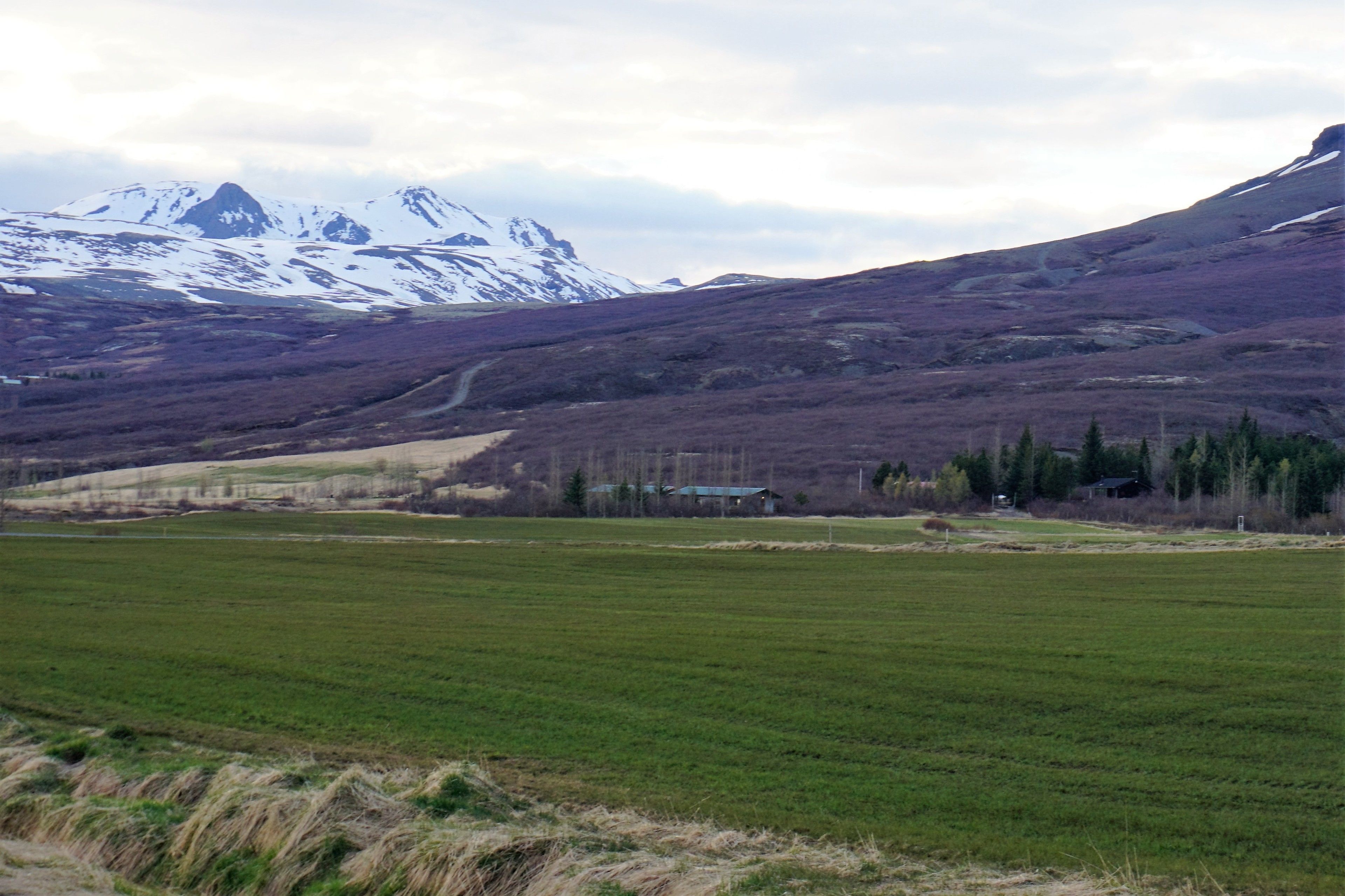 A mountainous landscape with a green field in the foreground and a house in the distance.