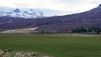 A mountainous landscape with a green field in the foreground and a house in the distance.