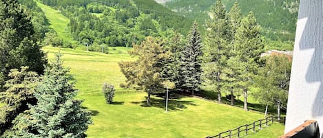 Un paisaje montañoso con una zona cubierta de hierba y árboles.