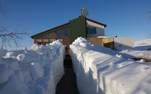 Ropa de cama de alta calidad, escritorio y cortinas blackout