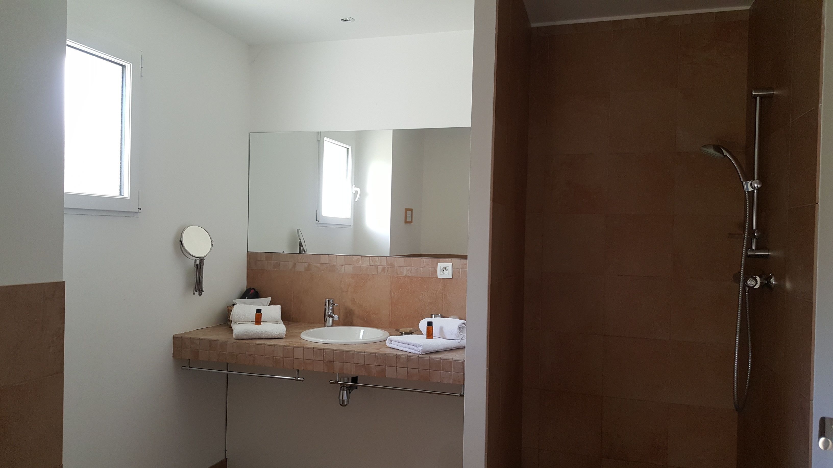 A bathroom with a sink, mirror, and shower.
