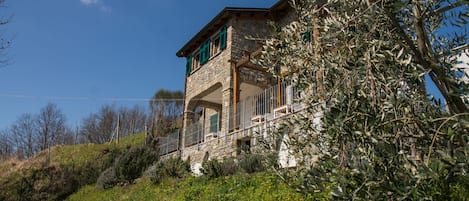 Extérieur