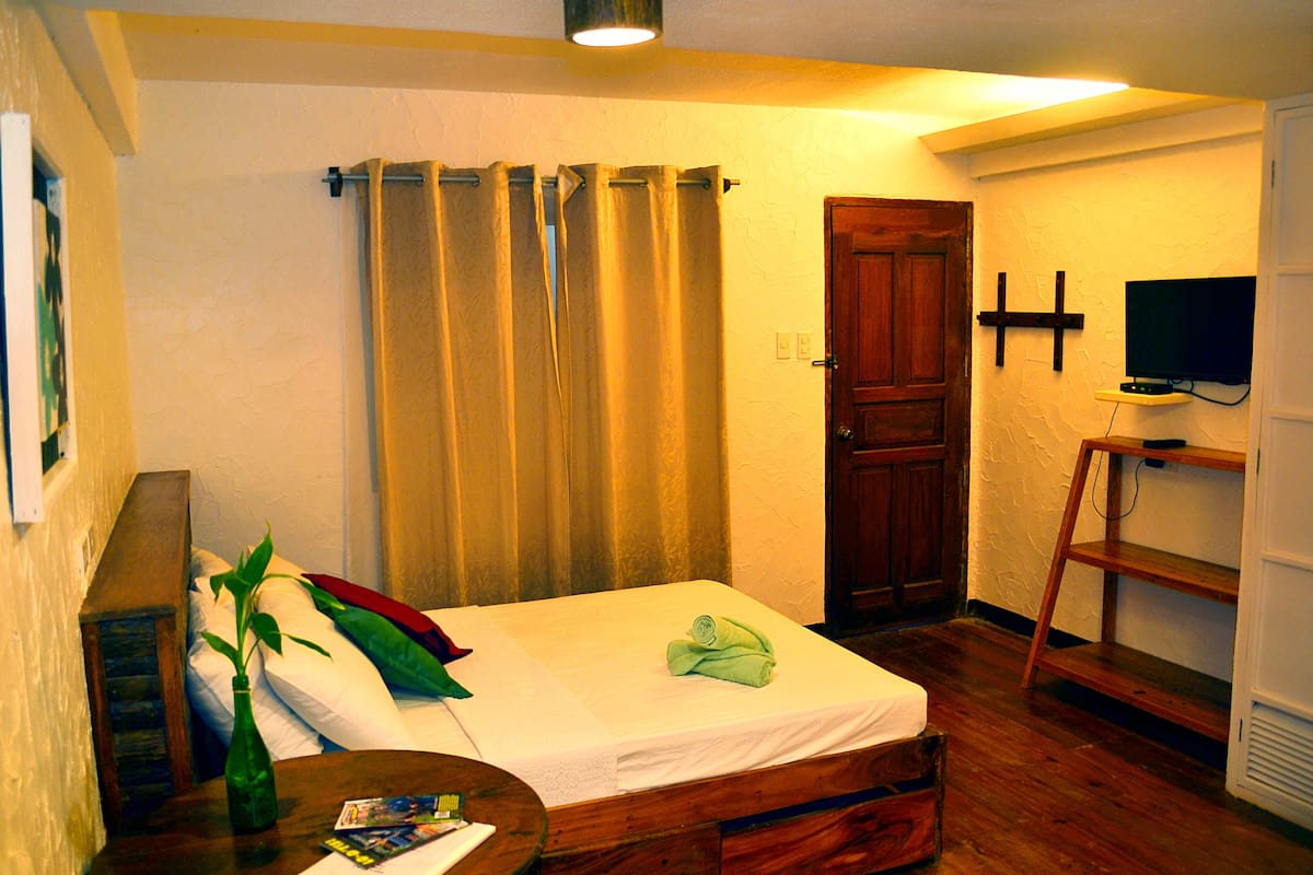 Une chambre avec un lit simple, une table de chevet en bois, une petite table avec un magazine, une plante verte et un téléviseur posé sur une étagère.