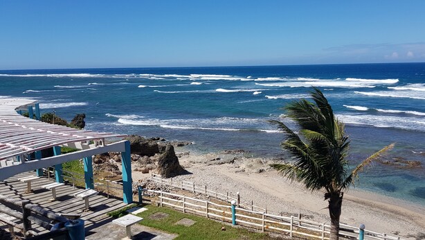 A beach with a wooden walkway and a palm tree. - Alta Vista Ilocandia (Pagudpud)