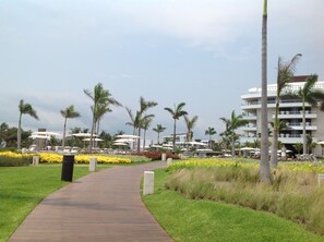 A pathway leading to a resort area with palm trees and a building in the background.