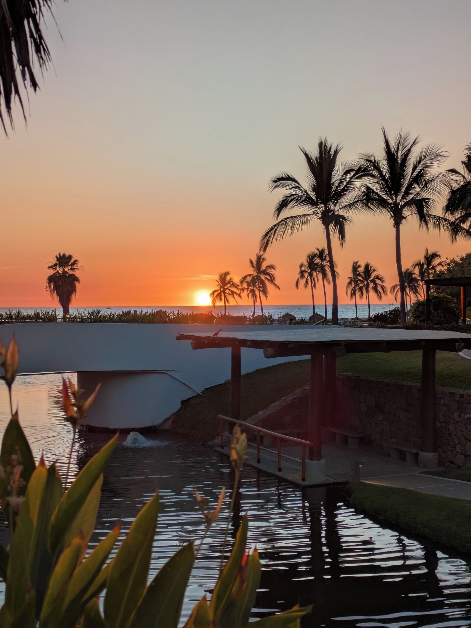 A sunset view with palm trees and a water body.