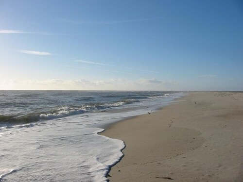 Magnificent views of the marsh!