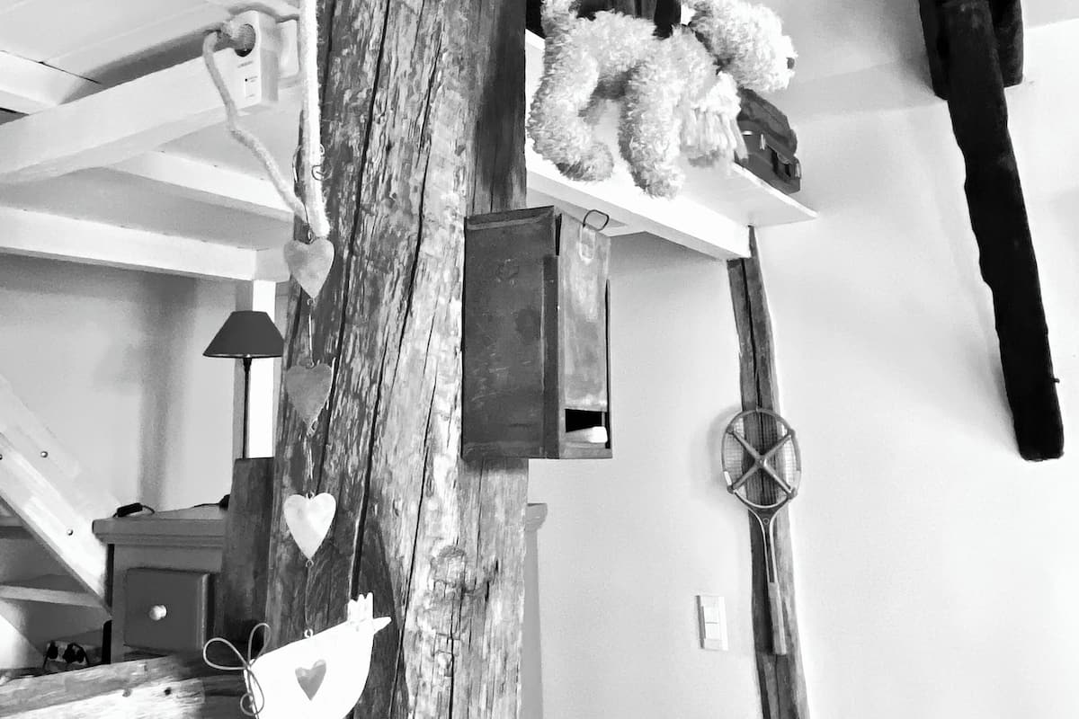 Un intérieur rustique avec des poutres apparentes, un luminaire et une étagère sur laquelle est posé un animal en peluche.