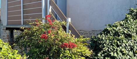 Una casa con escalera de madera que conduce a una puerta, rodeada de abundante vegetación y bayas rojas.