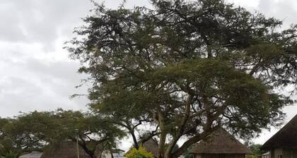 Noma Nini Lodge And Restaurant