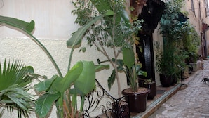A narrow cobblestone street lined with potted plants and a metal railing. - Riad Lahboul (Meknes)