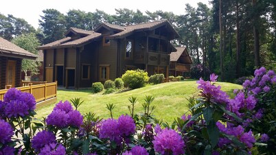 The Dorset Resort