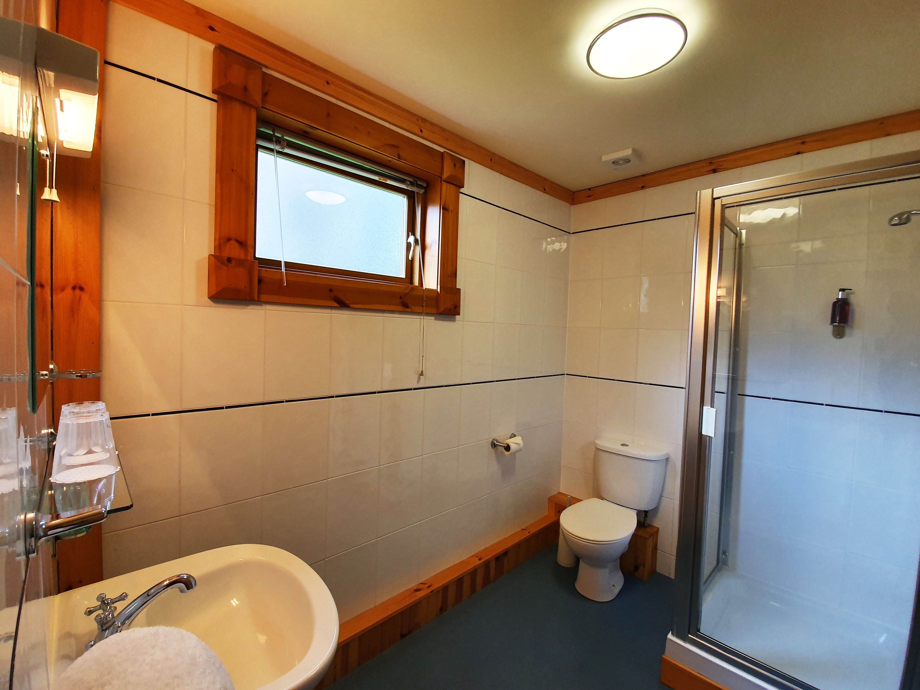 A bathroom with a sink, toilet, and shower.