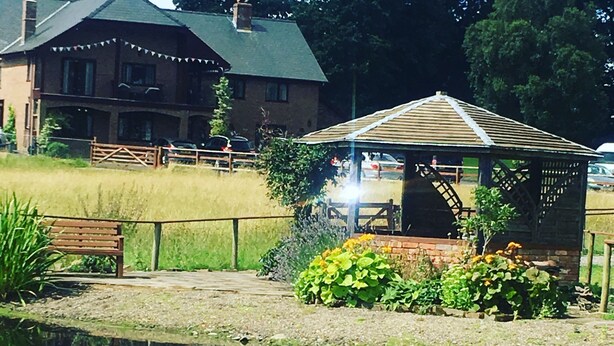Un cigno che nuota in uno stagno, sullo sfondo un gazebo e una panchina.