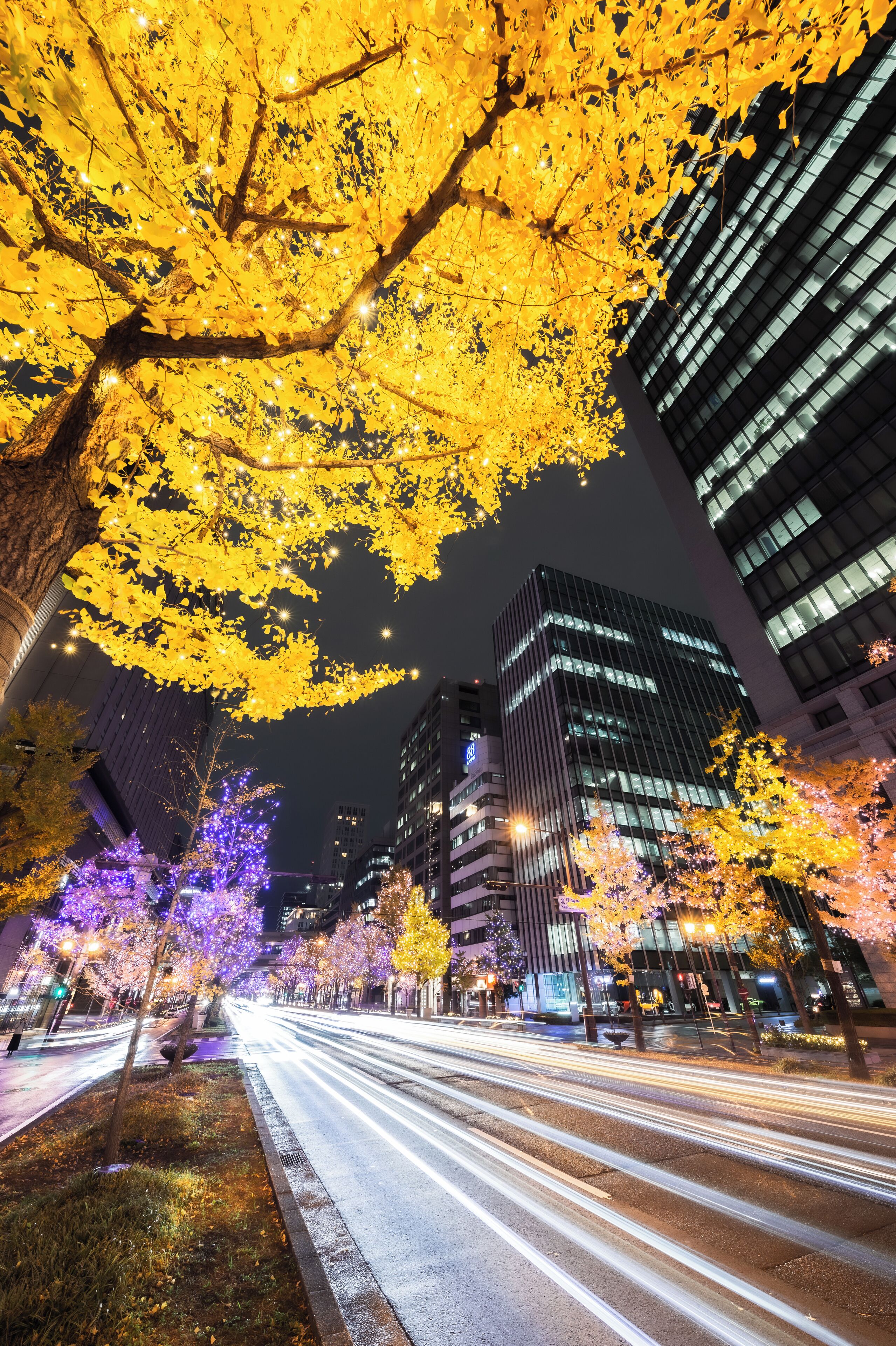 Foto - Holiday Inn Express Osaka City Centre- Midosuji by IHG