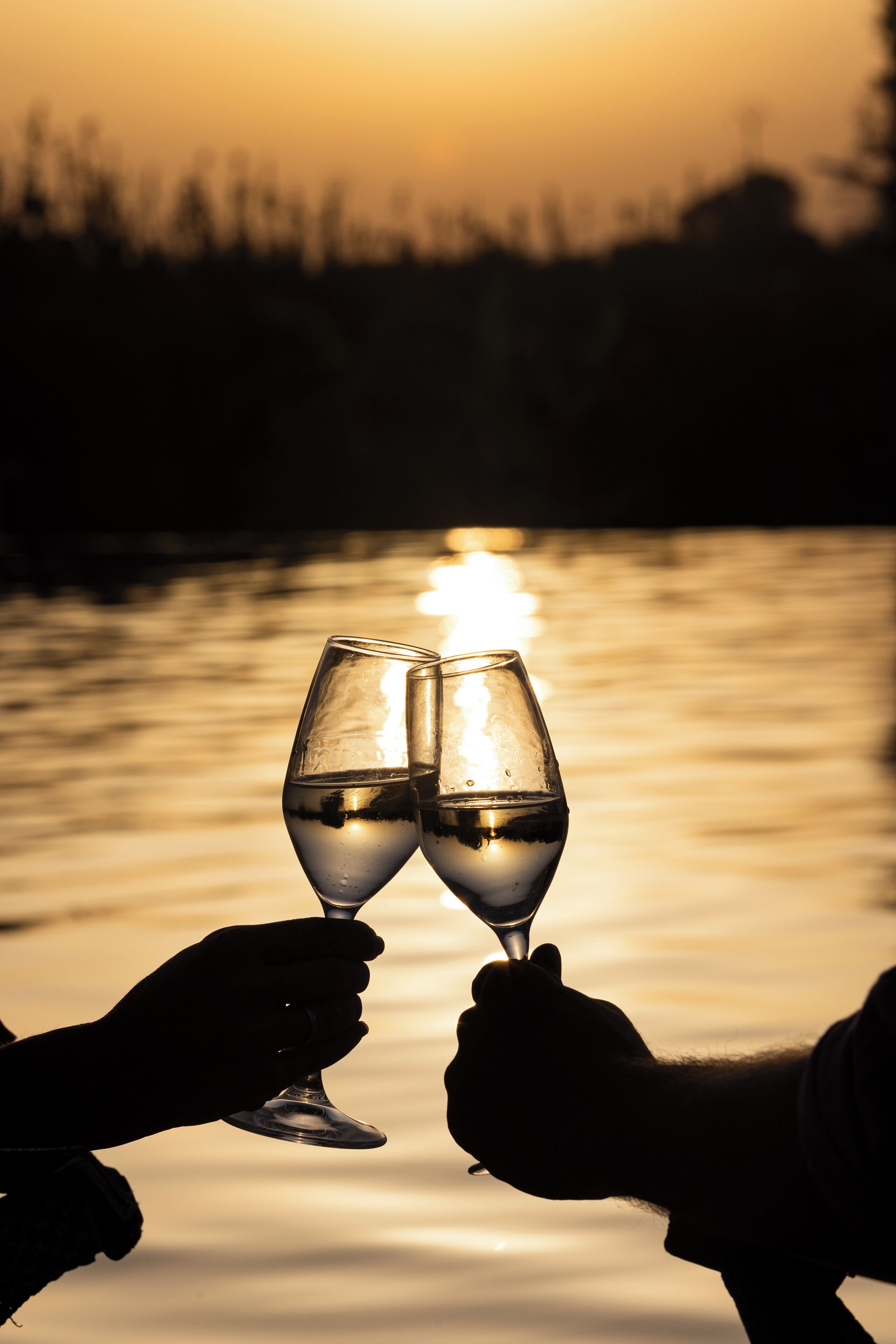Two hands holding wine glasses against a sunset over water.
