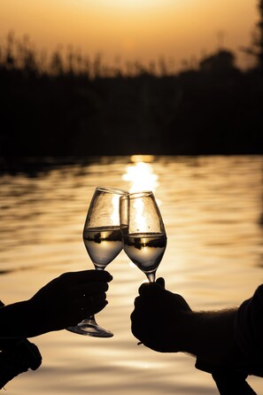 Two hands holding wine glasses against a sunset over water.