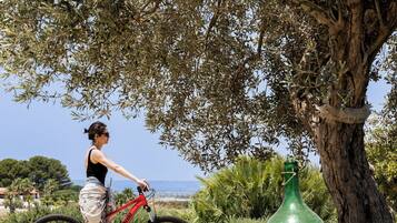 Una persona con una bicicleta cerca de un árbol y una botella verde en unos escalones.