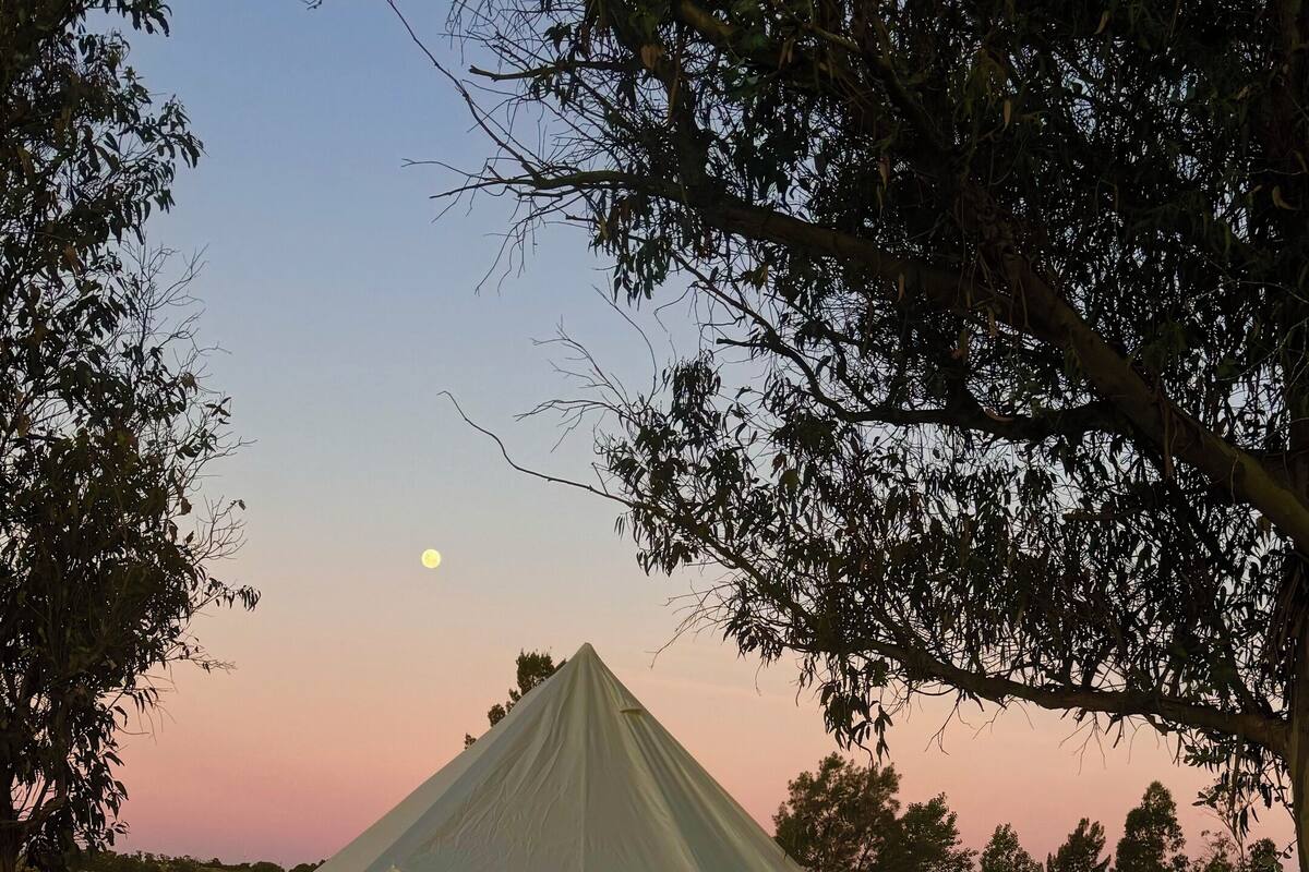 Uma tenda grande, branca e em forma de pirâmide montada em um campo gramado com árvores ao redor.