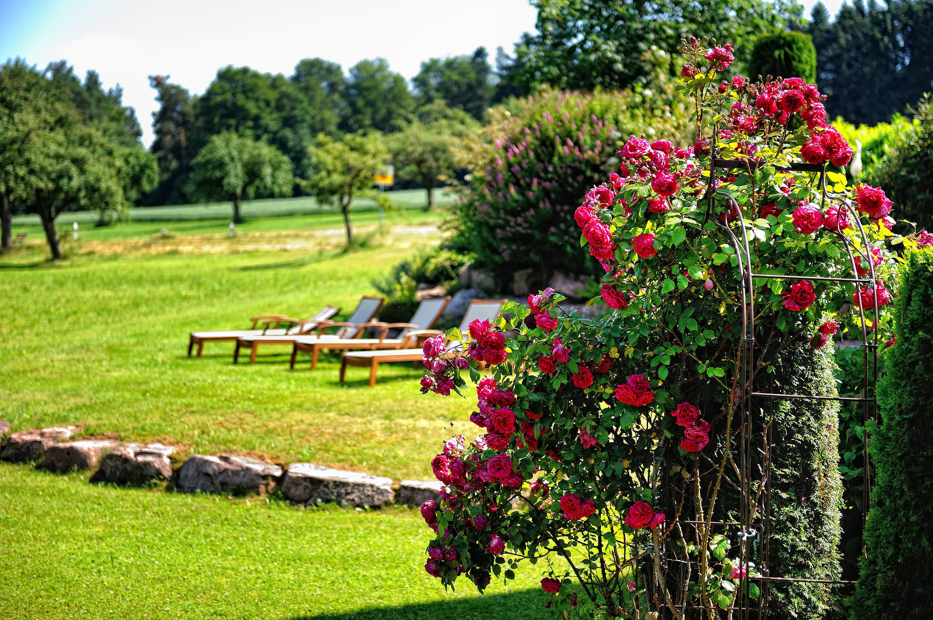 Deluxe Double Room, 1 Bedroom, Garden View, Garden Area | Garden