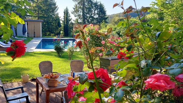 Un jardin avec une piscine, un espace salon couvert et une table où sont disposés de la nourriture et des boissons.
