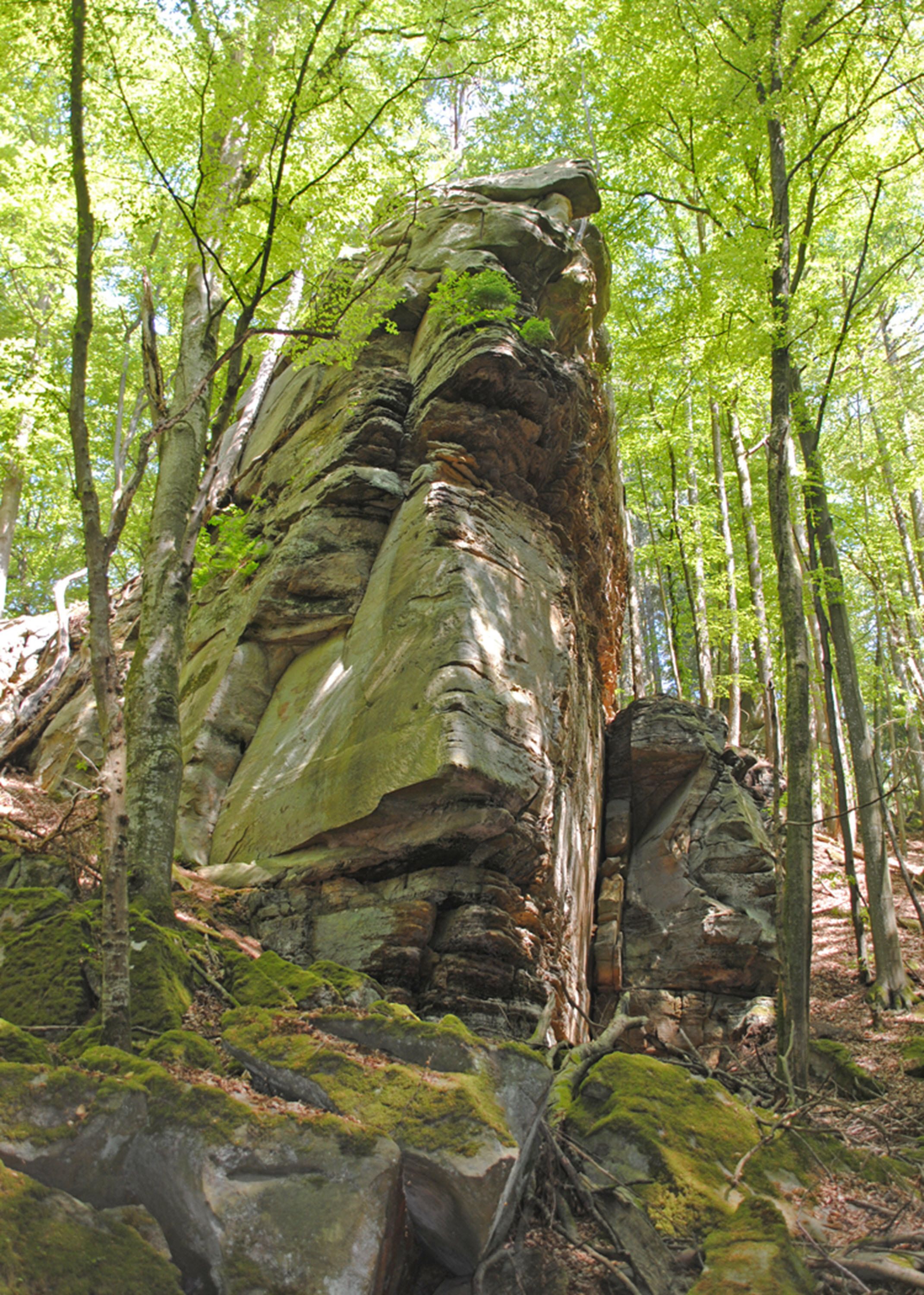 Une grande formation rocheuse, entourée d’arbres, au cœur d’une forêt.