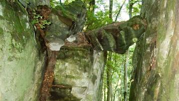 A narrow, rocky path flanked by large, moss-covered boulders in a forested area.