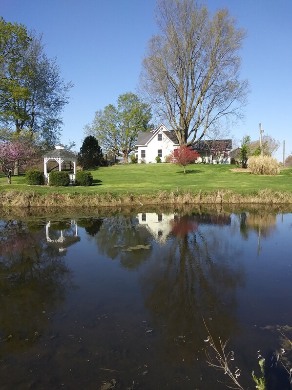 A serene lakeside scene with a white gazebo, a house, and lush greenery. - Montrose Farms Alpaca Ranch (Brownsburg)