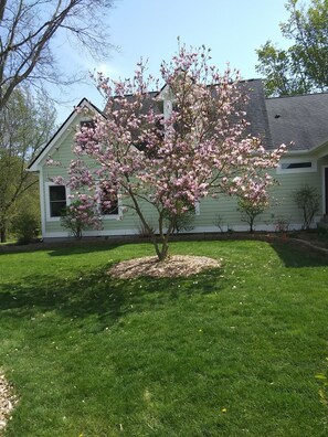 A house with a well-maintained lawn and a blooming tree in front. - Montrose Farms Alpaca Ranch (Brownsburg)