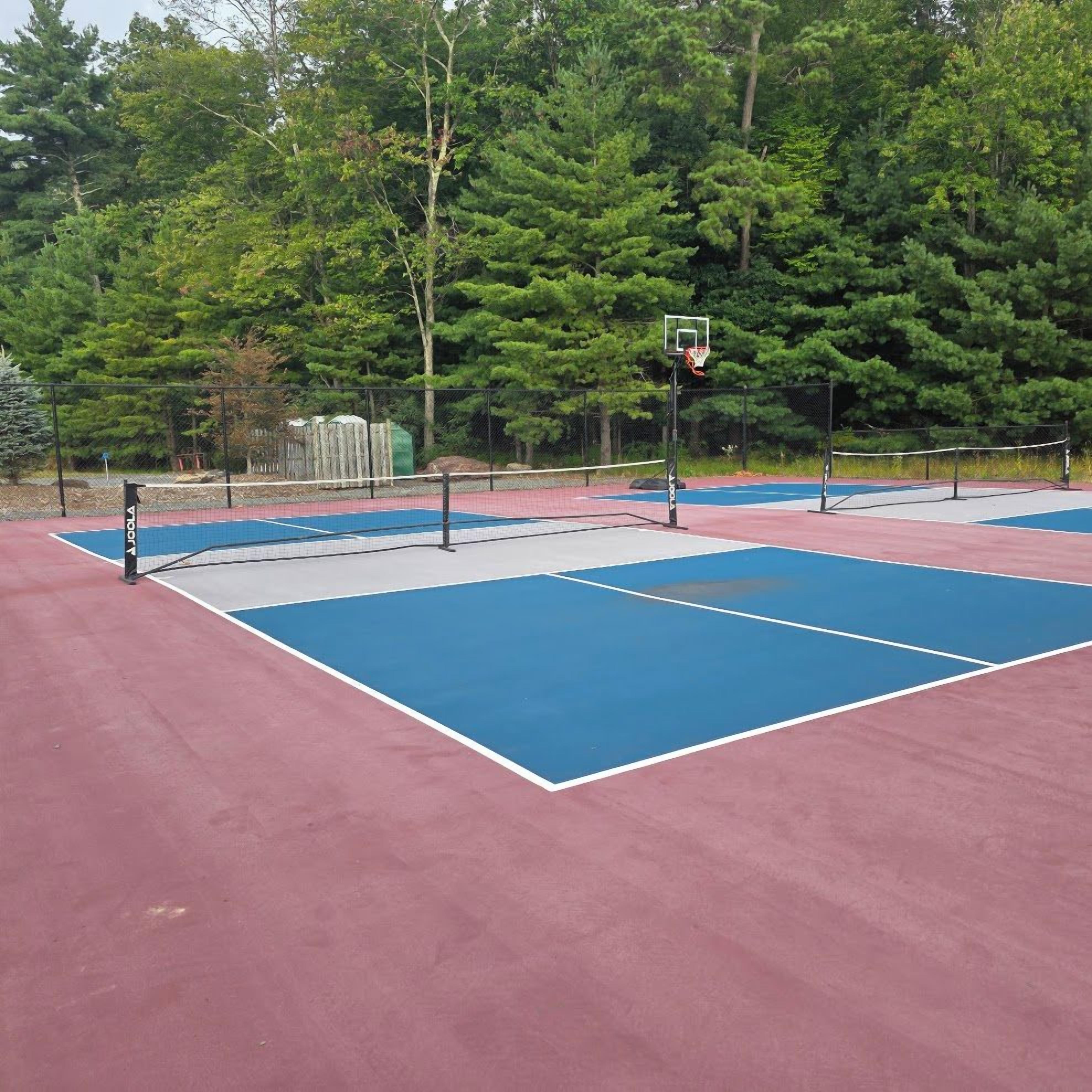 Cancha de tenis con red y aro de baloncesto, rodeada de árboles.