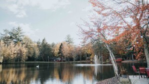Un entorno tranquilo junto al lago, con un cisne, árboles con follaje otoñal y una fuente.