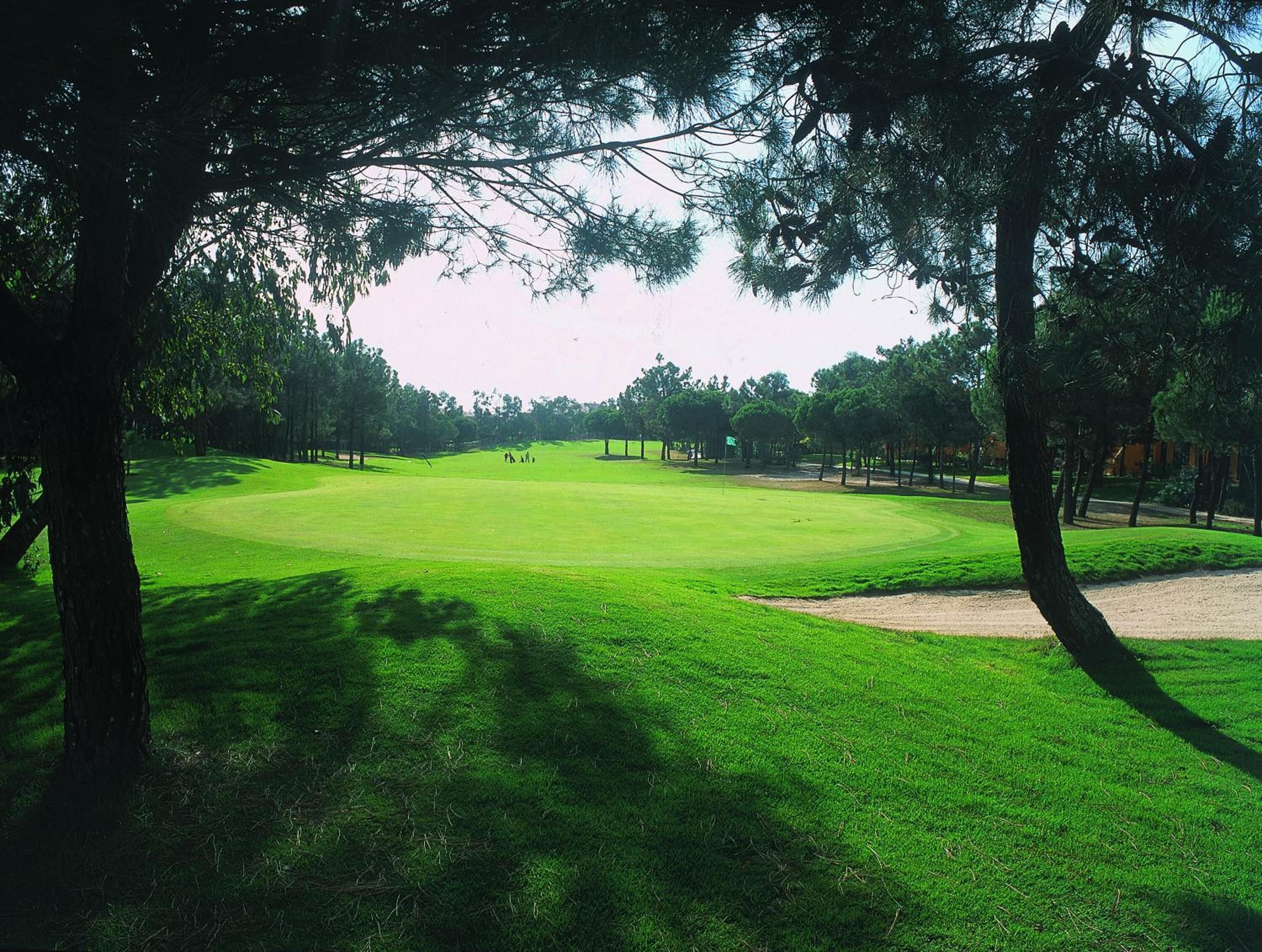 Ein Golfplatz mit Putting Green, Sandbunkern und Bäumen.