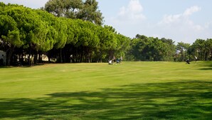A golf course with a well-maintained green, trees lining the perimeter, and a clear sky. - Interpass Golf Playa Country Club (Isla Cristina)