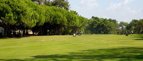 A golf course with a well-maintained green, trees lining the perimeter, and a clear sky.