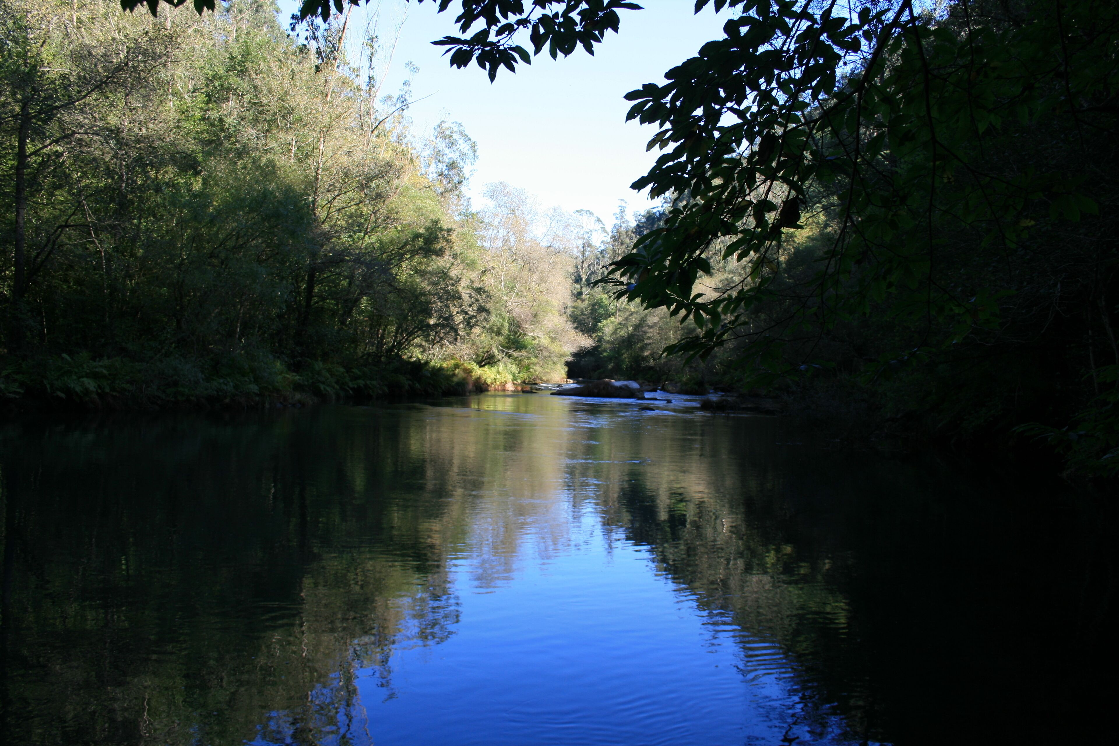 A calm river surrounded by dense foliage.