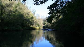 A calm river surrounded by dense foliage.