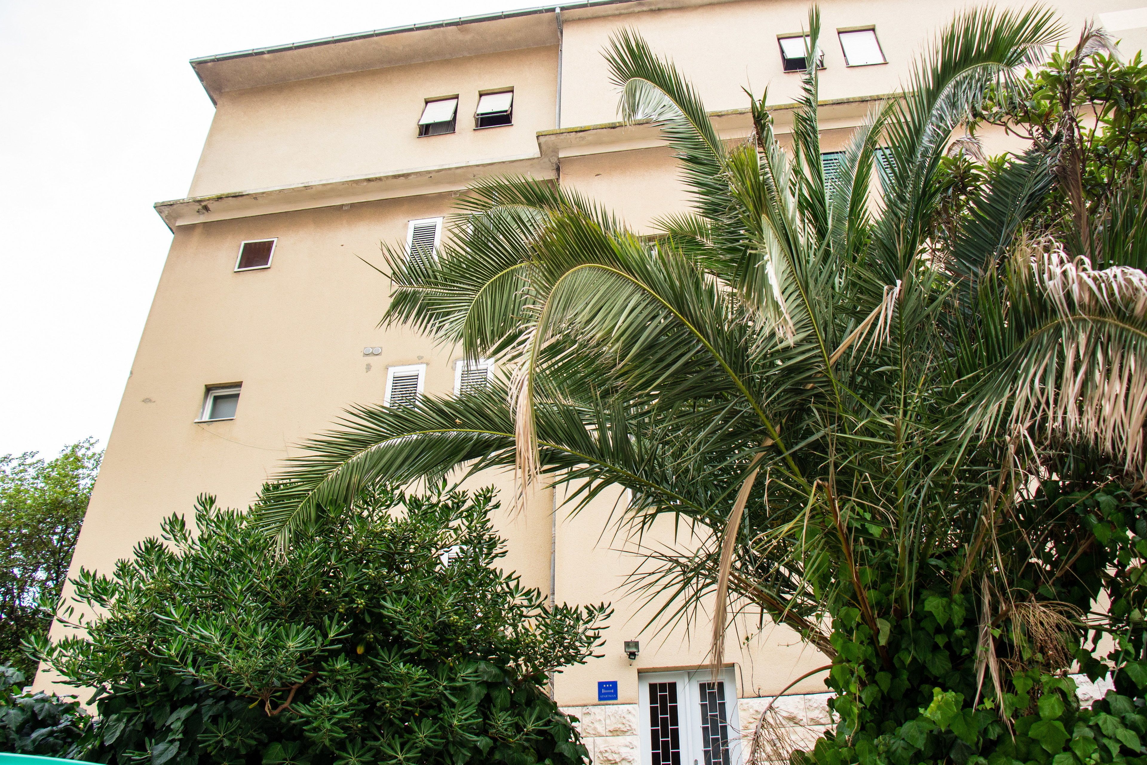 A multi-story building with balconies, surrounded by lush greenery including palm trees and other plants.