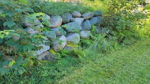 Muro de piedra con vegetación, zona con césped y una planta pequeña.