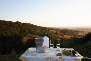 Outdoor dining - FALCO: Peaceful farmcottage close to Tuscany 's treasures, 1 mile from shops (Poggibonsi)