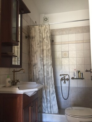 Combined shower/bathtub, hair dryer, towels