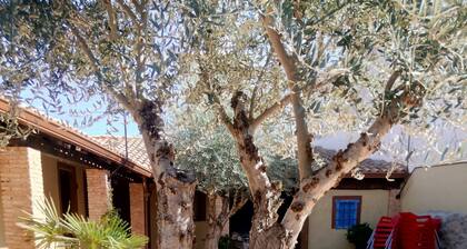 Hotel Rural Las Ramblas - 2 PERSONNES