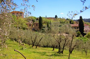 Property grounds - RONDINE: Peaceful farmhouse close to Tuscany 's treasures, 1mile from shops far (Poggibonsi)