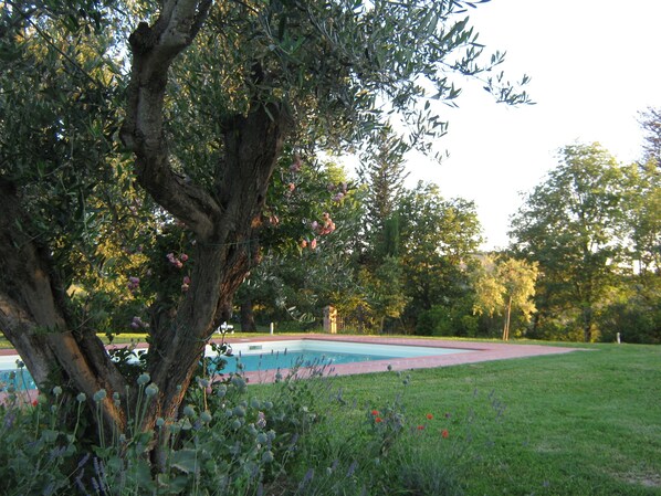 Seasonal outdoor pool
