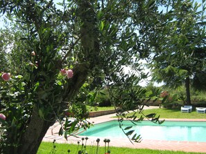 Seasonal outdoor pool - Agriturismo il Poderino (Cinigiano)